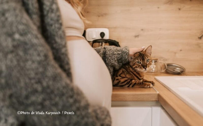 Femme enceinte de plus de 35 ans